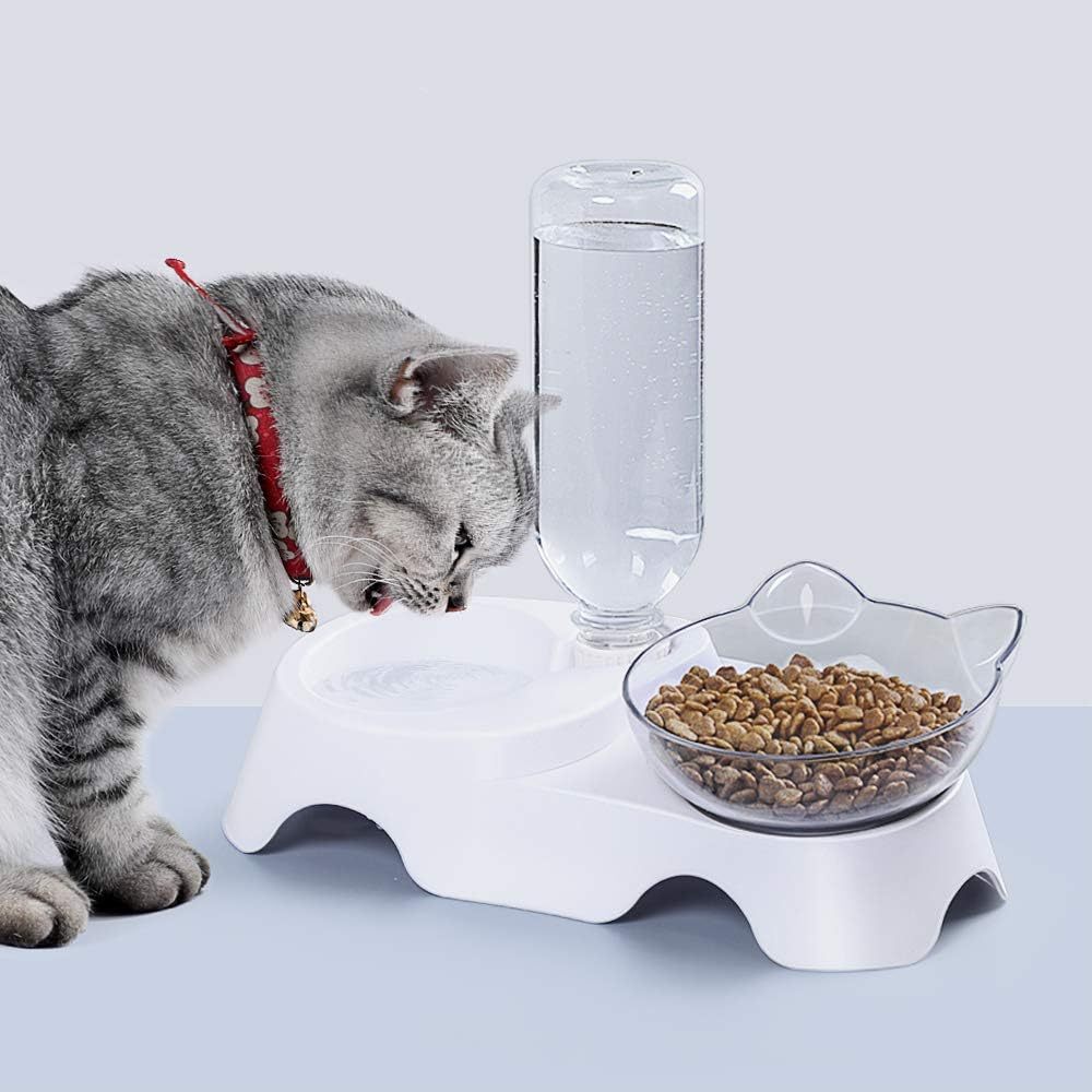 Tilted Water & Food Bowls with Automatic Water Dispenser on White Base - Cat - (Clear)