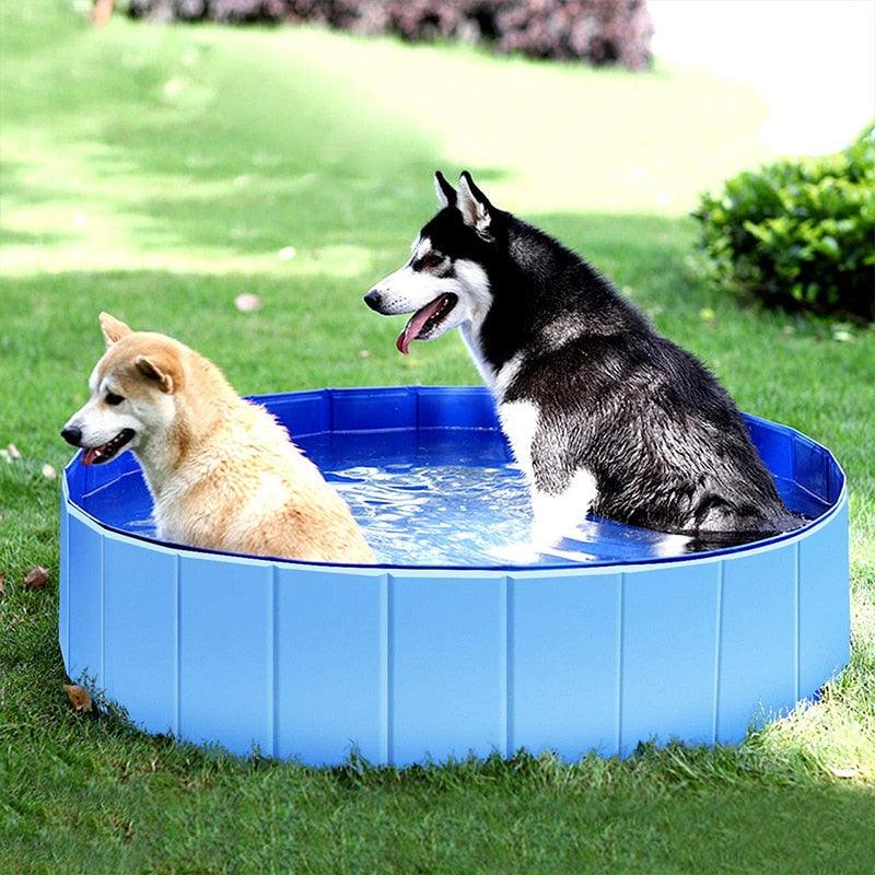 Bath Tub or Swimming Pool - Dog Cat - (5 Pool Sizes) - (Red, Blue)