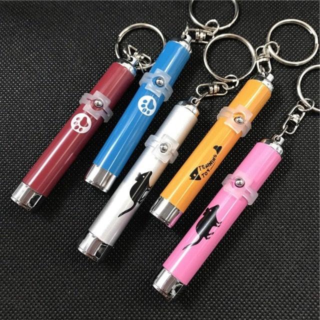 Funny Pet LED Laser Toy Pen - Cat - (Rechargable) - (Hours of Interactive Enjoyment and Fun)