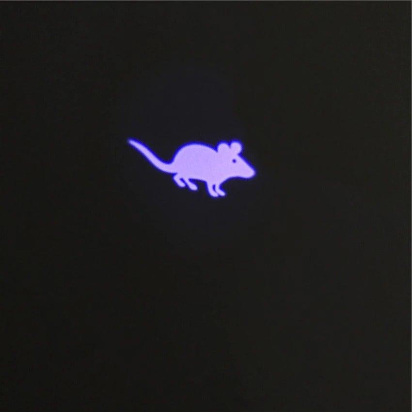 Funny Pet LED Laser Toy Pen - Cat - (Rechargable) - (Hours of Interactive Enjoyment and Fun)