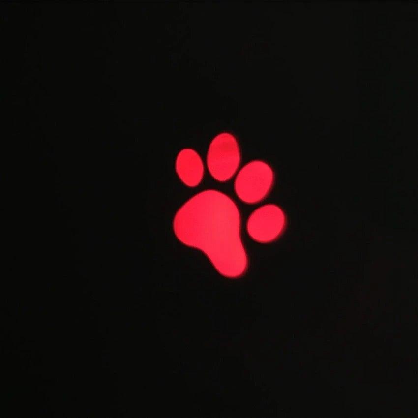 Funny Pet LED Laser Toy Pen - Cat - (Rechargable) - (Hours of Interactive Enjoyment and Fun)