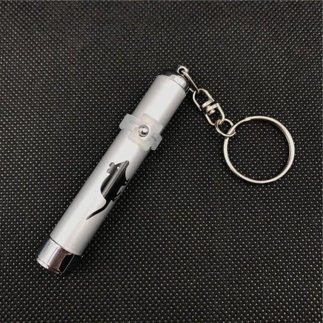 Funny Pet LED Laser Toy Pen - Cat - (Rechargable) - (Hours of Interactive Enjoyment and Fun)