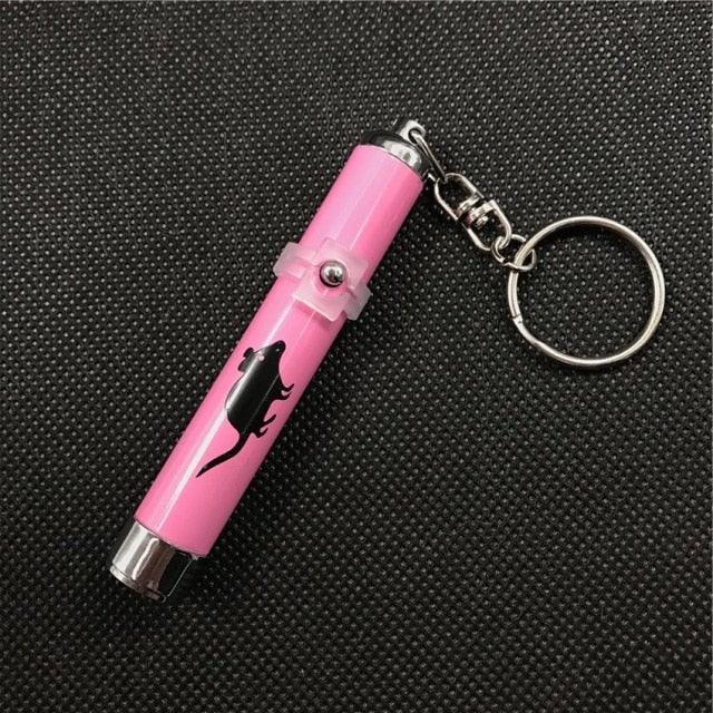 Funny Pet LED Laser Toy Pen - Cat - (Rechargable) - (Hours of Interactive Enjoyment and Fun)