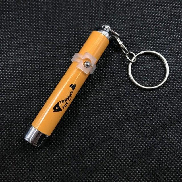 Funny Pet LED Laser Toy Pen - Cat - (Rechargable) - (Hours of Interactive Enjoyment and Fun)