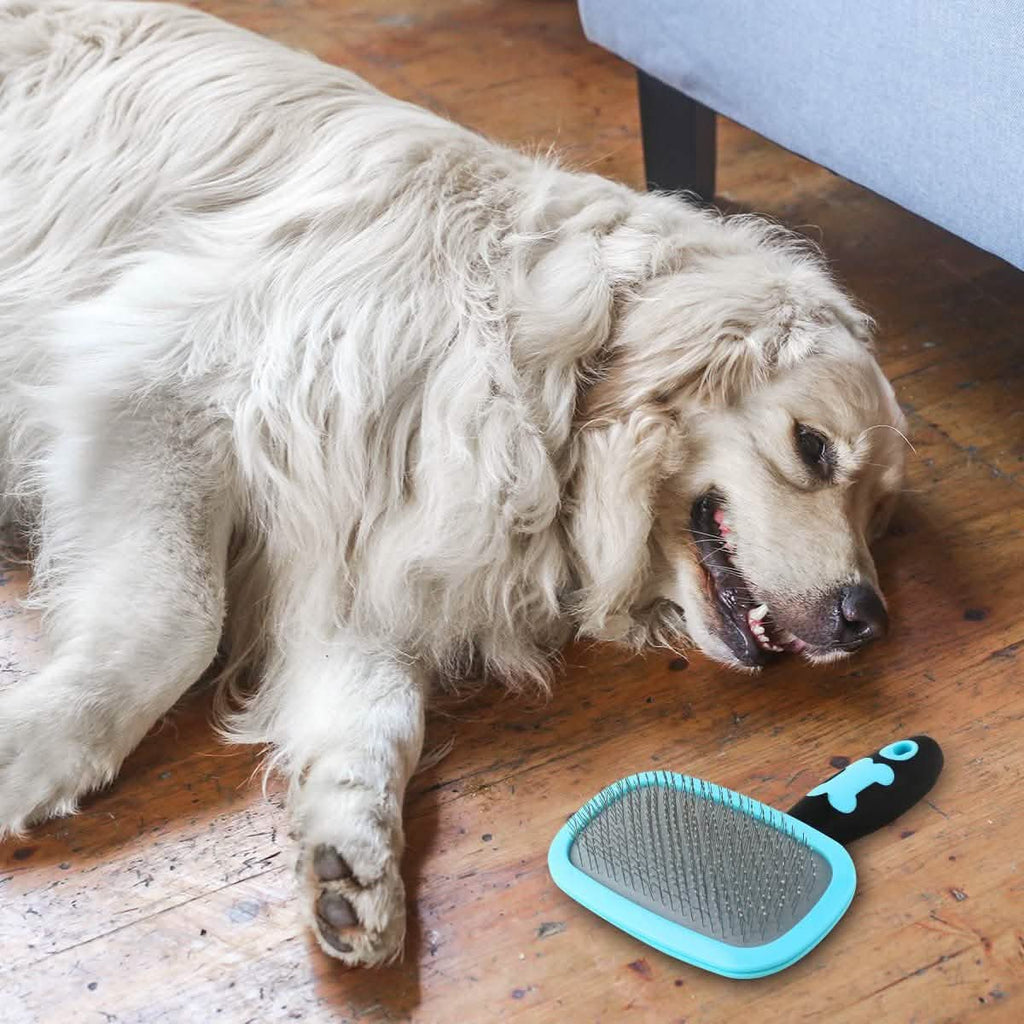 Grooming Slicker Brush - Dog Cat - (All Coat Types ) - (Blue, Pink) - (S,L) - (Glendan)