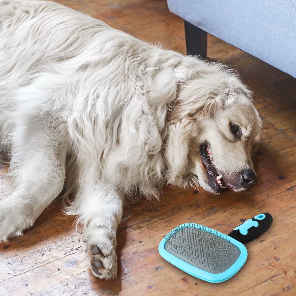 Grooming Slicker Brush - Dog Cat - (All Coat Types ) - (Blue, Pink) - (S,L) - (Glendan)