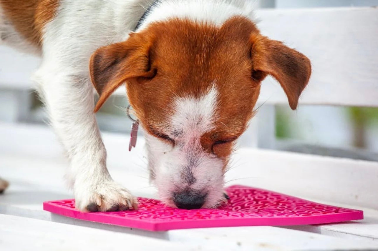 Anxious Dog: Try this Relief Enrichment Lick Mat (Flower Power) (Pink)