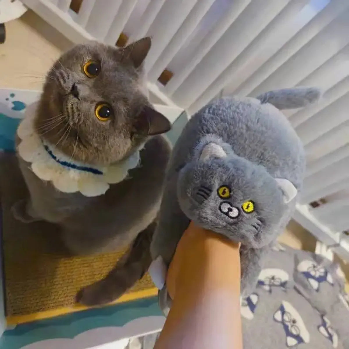 Kawaii Cat Winter Slippers - (6 Color Options) - (8 Sizes) - One Size Fits Most Adults -  (While Supplies Last)