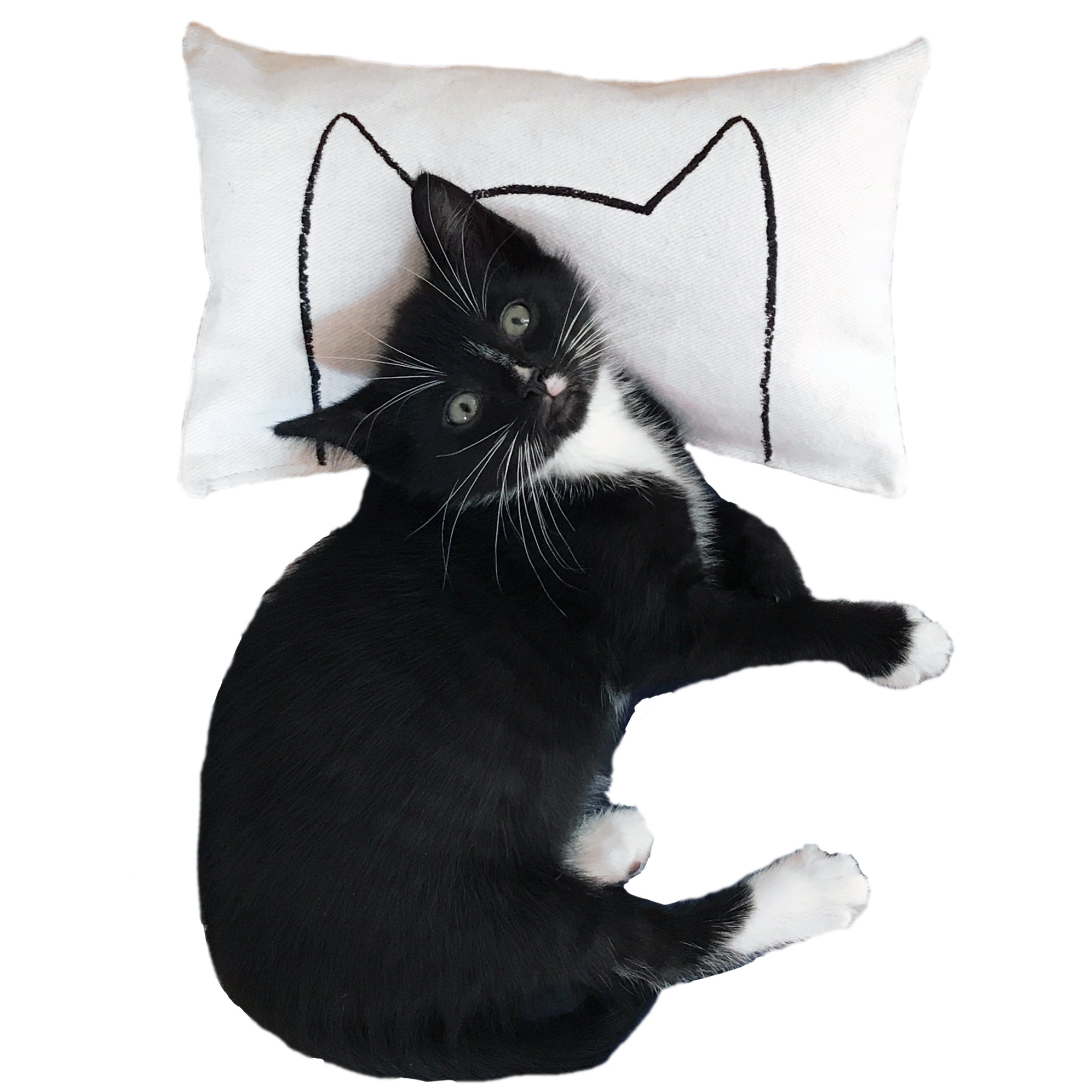 Catnip Kicker Bed Pillow Toy - Cat - (12 Color Options) - (Catnip or No Catnip Options) - (While Supplies Last)