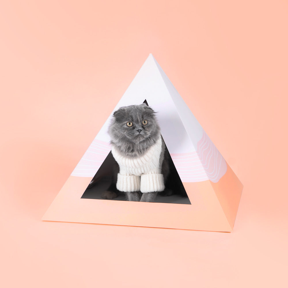 Cozy and Dark 'Wavy' Kardboard Pyramid - Cat