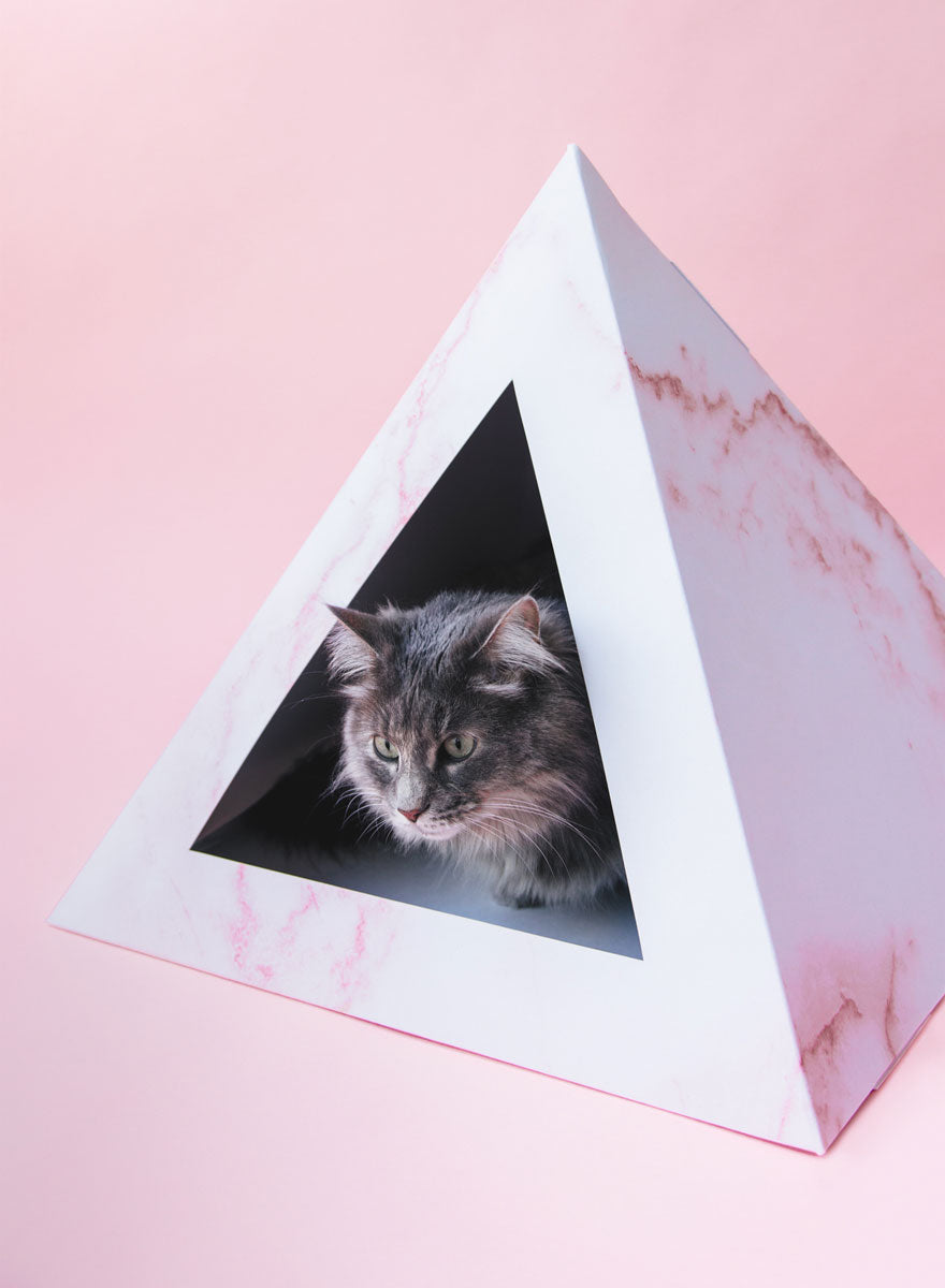 Cozy and Dark 'Rose Quartz' Kardboard Pyramid - Cat
