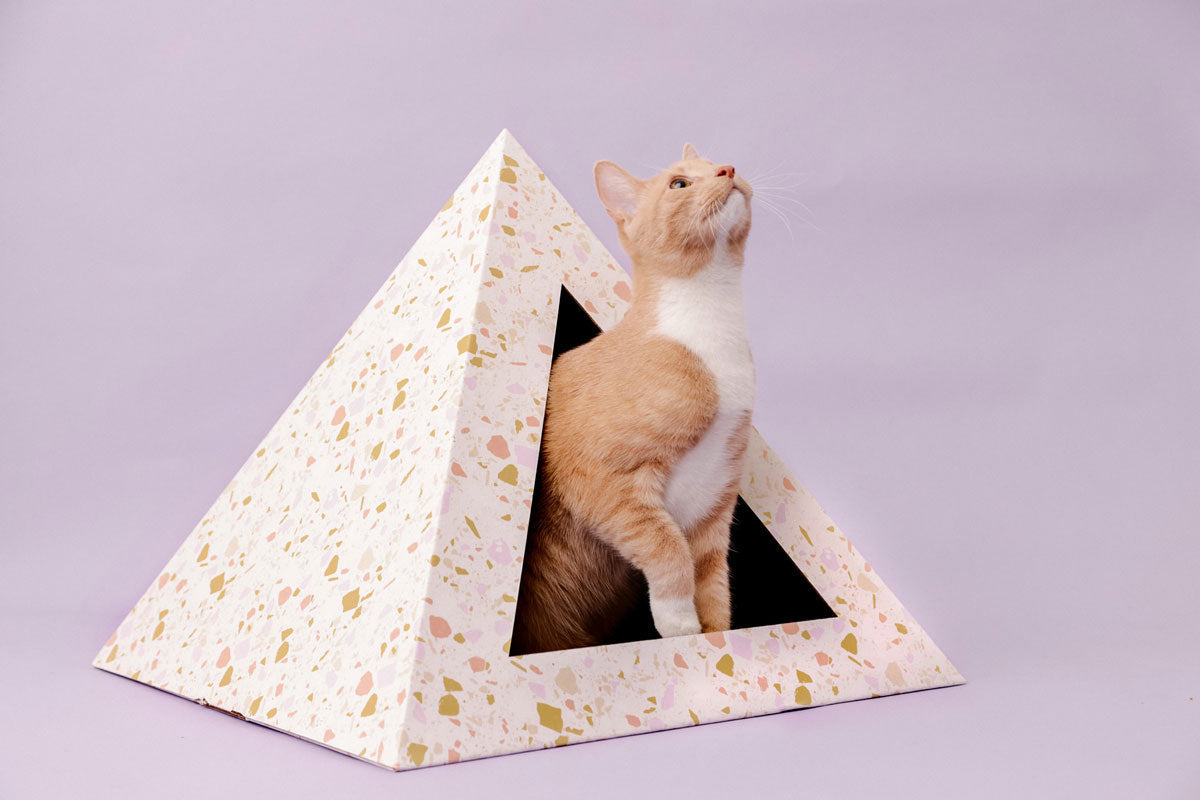Cozy and Dark 'Terrazzo' Kardboard Pyramid - Cat