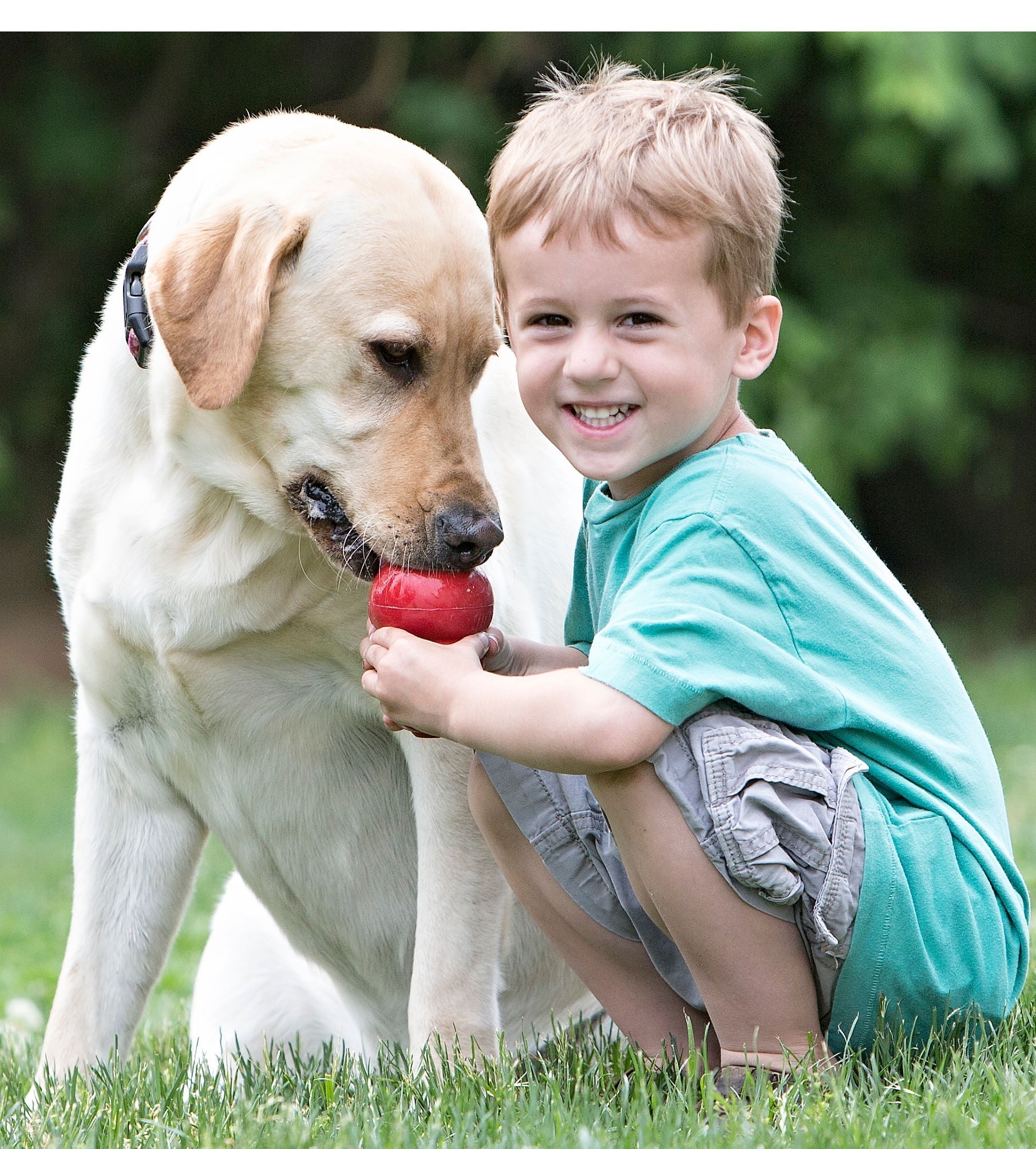 The Kong® Classic Toy - Dog    - (KONG)  - (Durable Rubber) - (Red) - (XX-King)