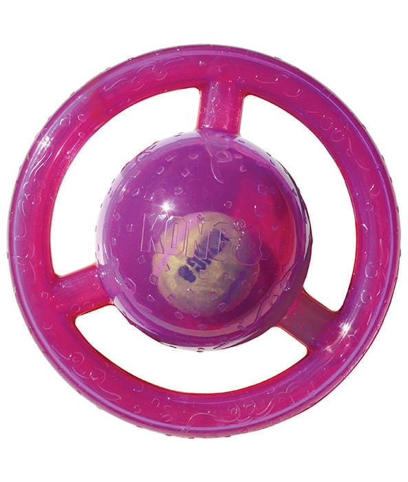 Jumbler Disc Squeaker Dog Toy