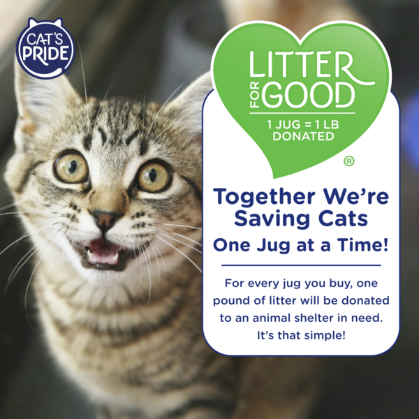 Lightweight Unscented Clumping Litter with Baking Soda - Cat's Pride Litter