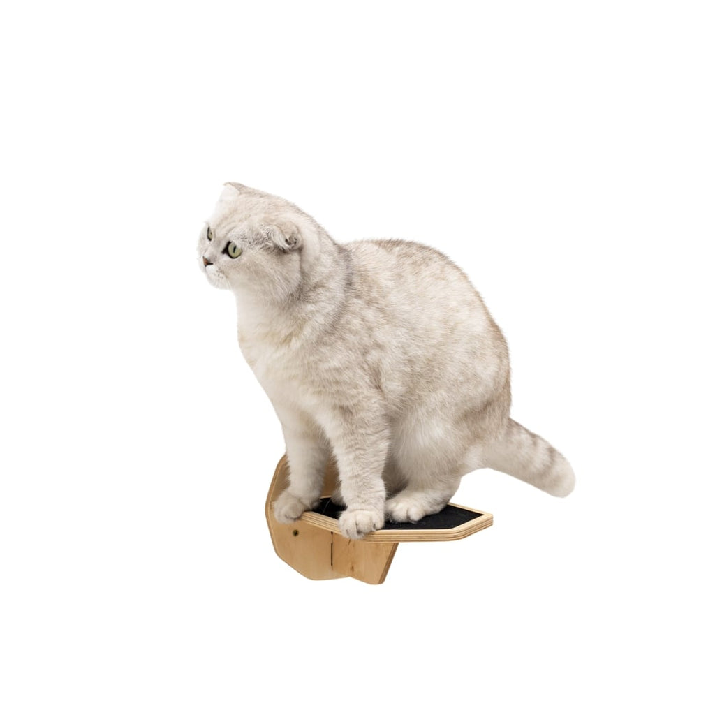 Quality Wooden Hexagon Step  -  Cat  - (Natural Oak) - (While Supplies Lsst)