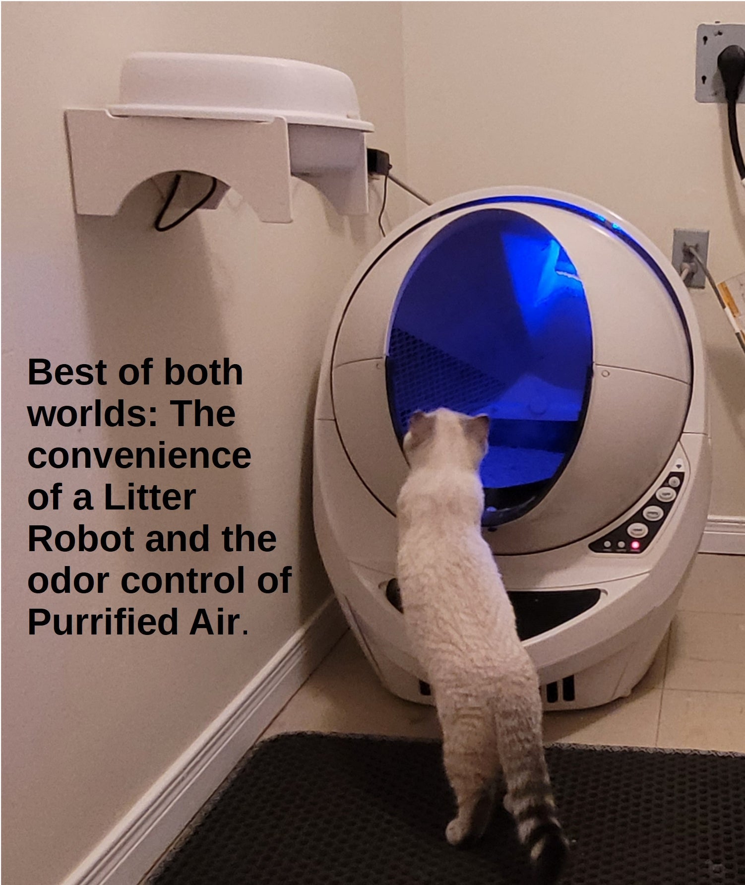 Quiet Fan Litter Box Air Filter - Cat - (Purrified Air...) - Multiple Units Available  - (While Supplies Last)