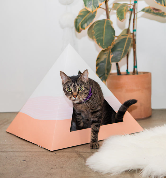 Cozy and Dark 'Wavy' Kardboard Pyramid - Cat