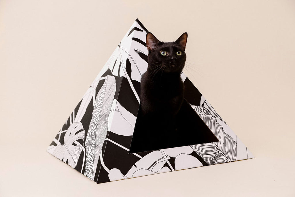 Cozy and 'Dark Paradise' Kardboard Pyramid - Cat