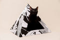 Cozy and 'Dark Paradise' Kardboard Pyramid - Cat