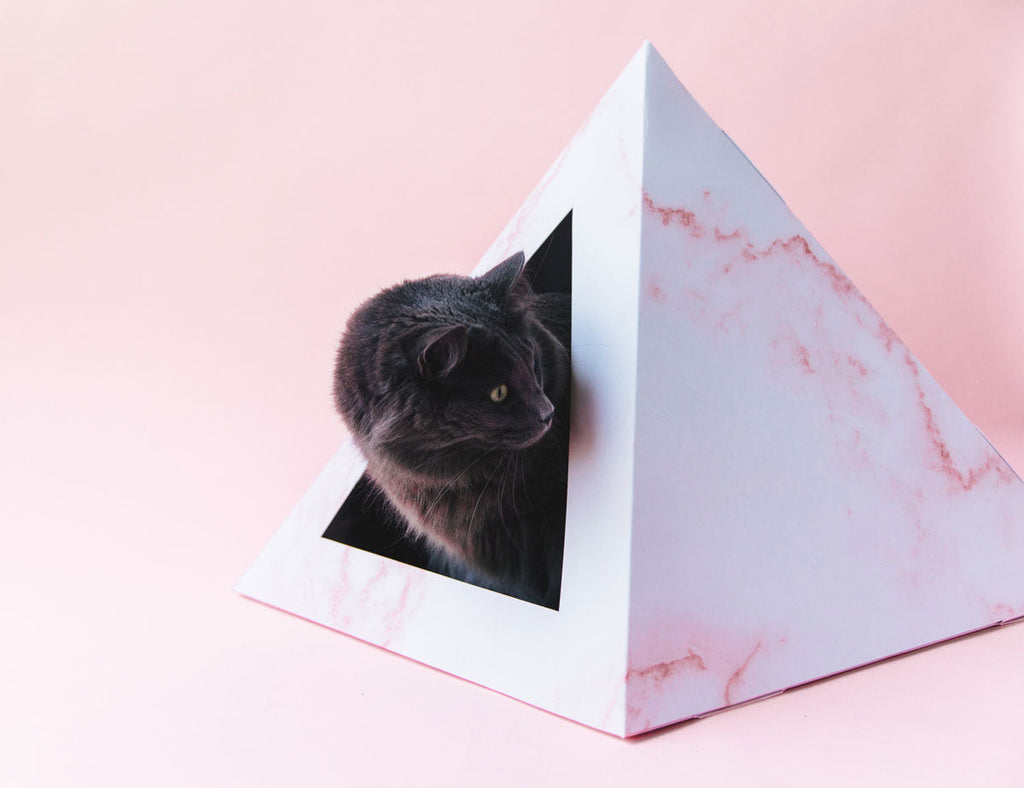 Cozy and Dark 'Rose Quartz' Kardboard Pyramid - Cat