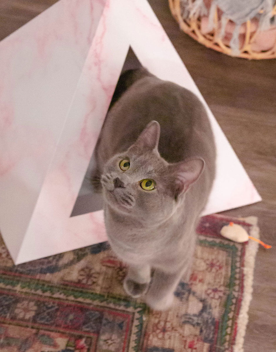 Cozy and Dark 'Rose Quartz' Kardboard Pyramid - Cat