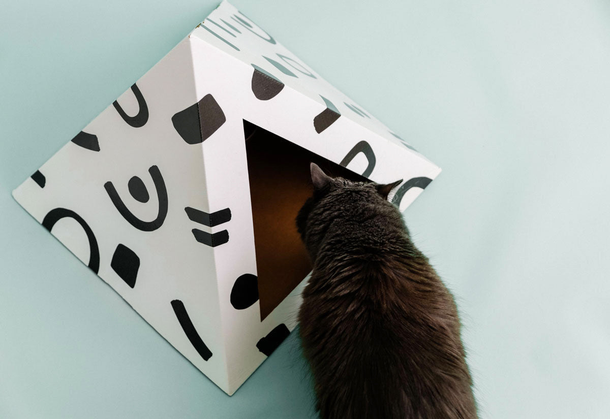 Cozy and Dark 'Doodle' Kardboard Pyramid - Cat