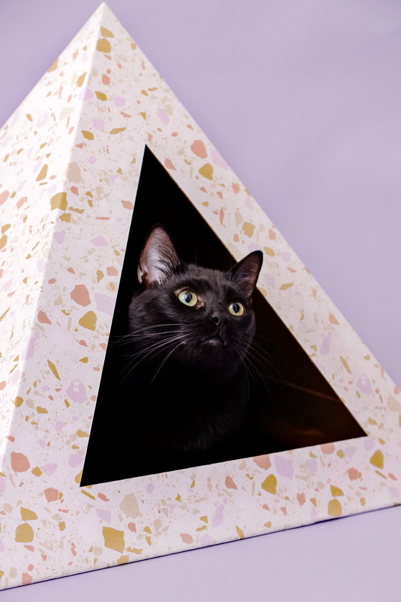 Cozy and Dark 'Terrazzo' Kardboard Pyramid - Cat