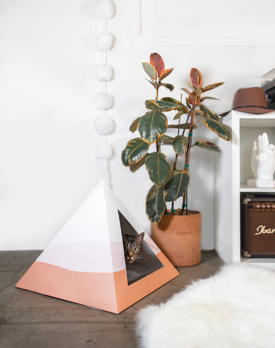 Cozy and Dark 'Wavy' Kardboard Pyramid - Cat
