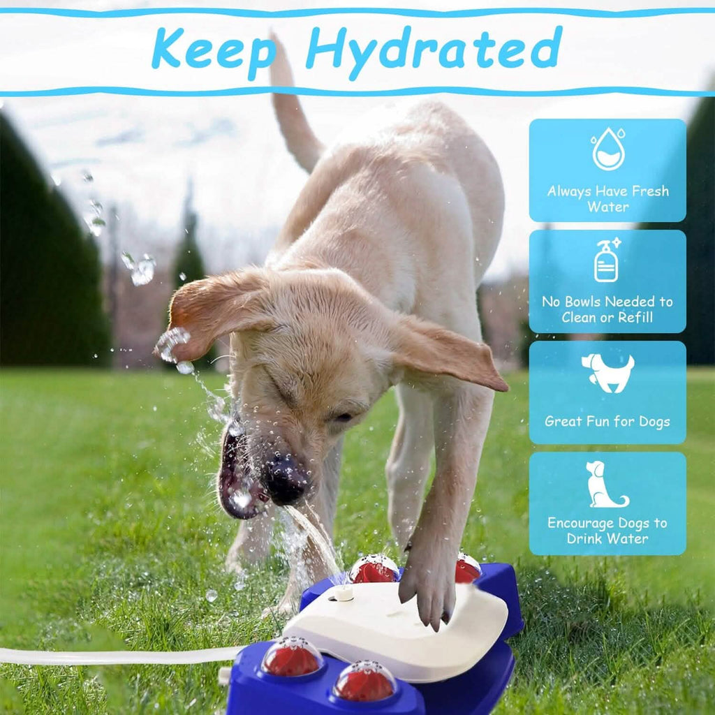 Multi-functional Automatic Water Sprinkler - Dog - (Blue, Yellow) - (While Supplies Last)