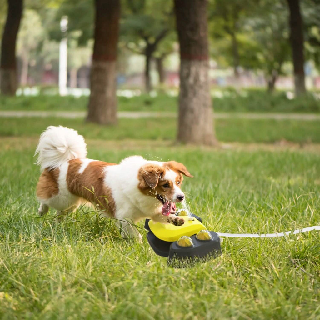Multi-functional Automatic Water Sprinkler - Dog - (Blue, Yellow) - (While Supplies Last)