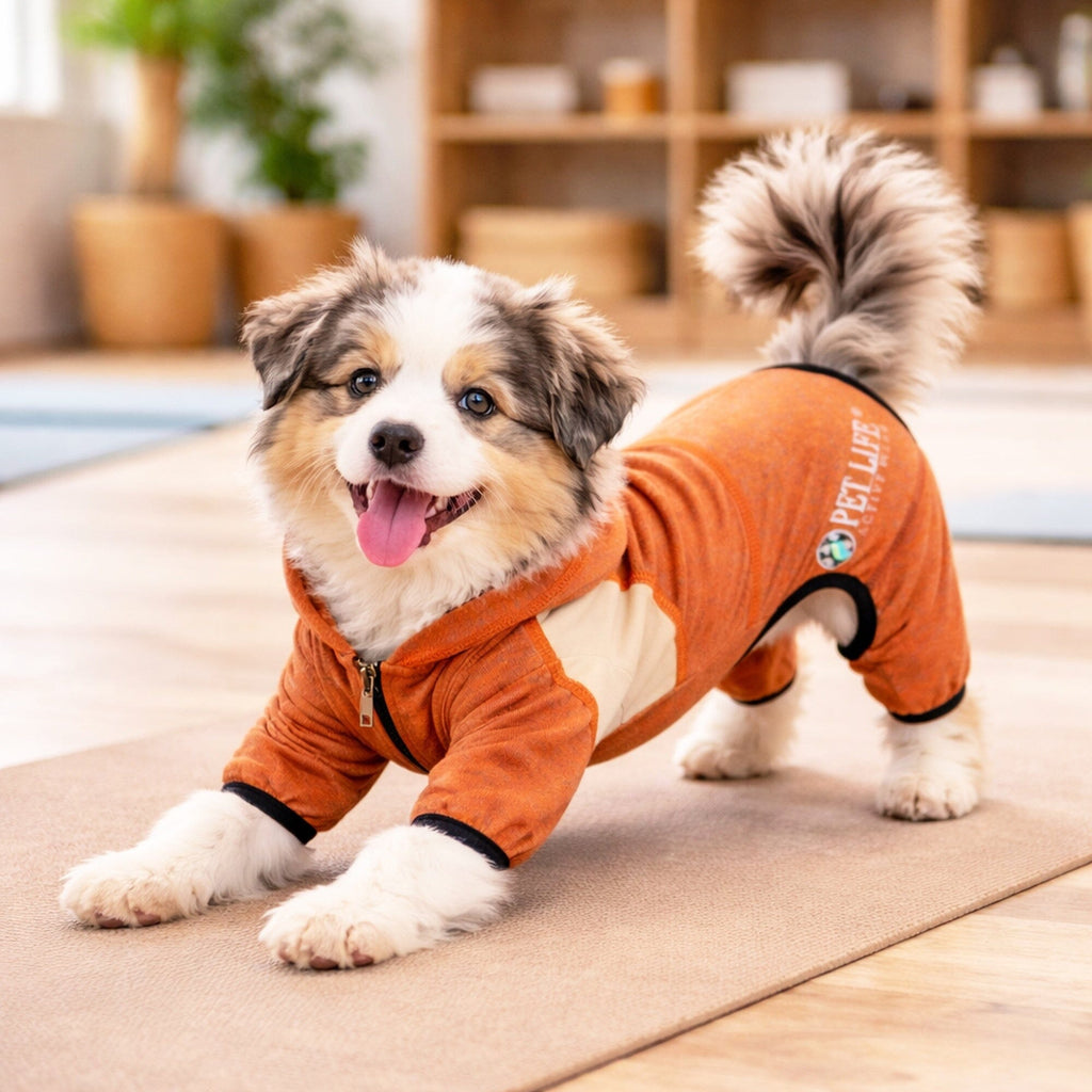 Full Body Hooded Yoga Sweater -  Dog  - (5 Colors/Sizes) - (Warm for Winter) -  (Pet Life®)