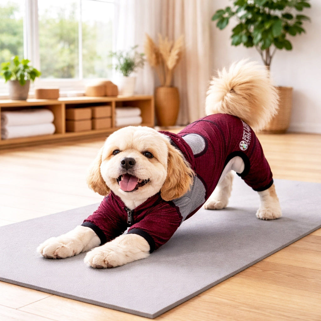 Full Body Hooded Yoga Sweater -  Dog  - (5 Colors/Sizes) - (Warm for Winter) -  (Pet Life®)