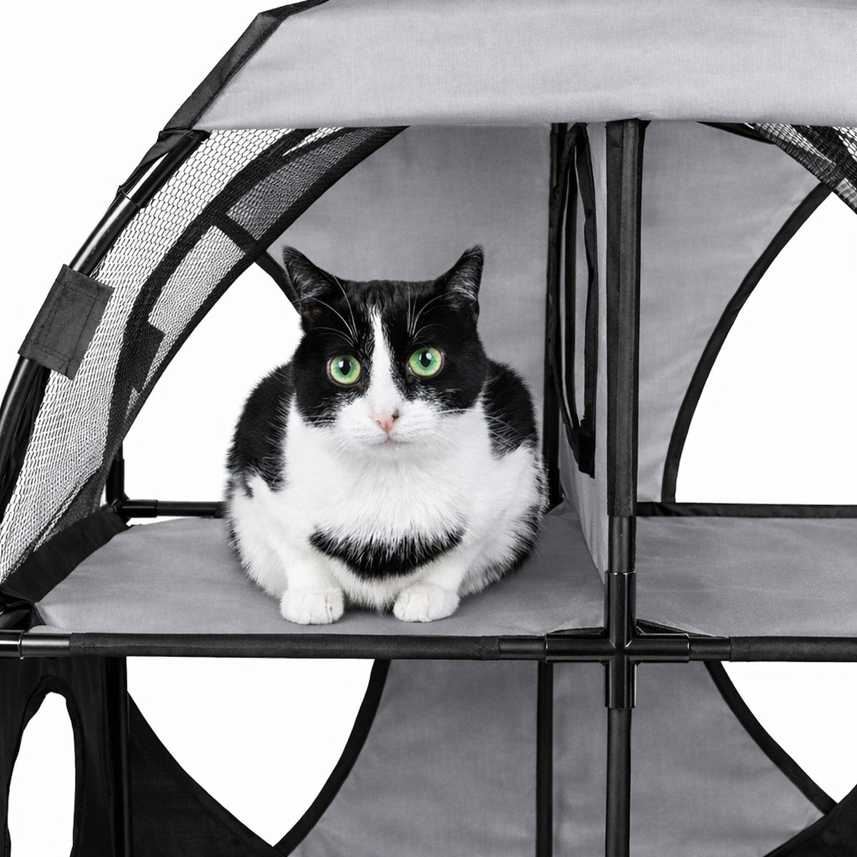 Portable 2-Level Travel Tree Maze, Tunnel House Lounging Enclosure - Cat -  (Collapsible) - (5 Color Options) - (Pet Life ®) - (While Supplies Last)
