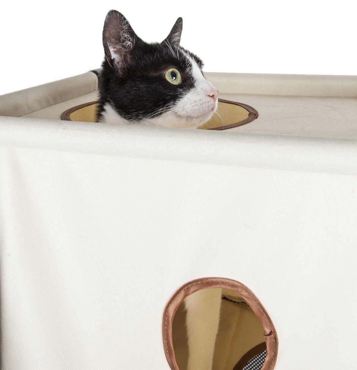 Cat Maze & Tunnel Lounger, 3-Level House Enclosure - (4 Color Options) -  (17.71" L x 11.81" Wx 35.43" H) - (Pet LIfe)