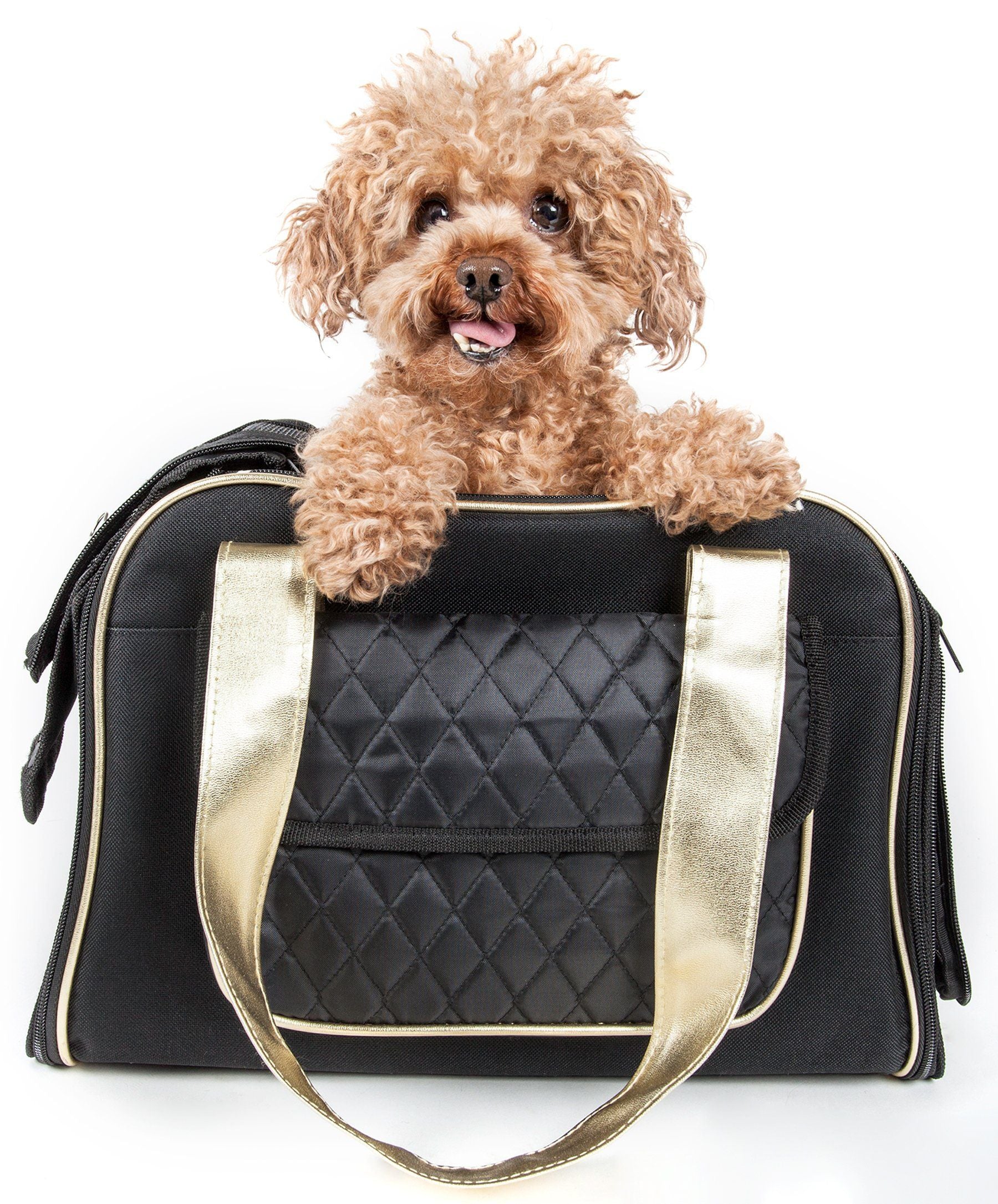Airline Approved Mystique Pet Carrier Travel Bag - Dog - (Khaki, Black) - (Designer) - (Fashionable)