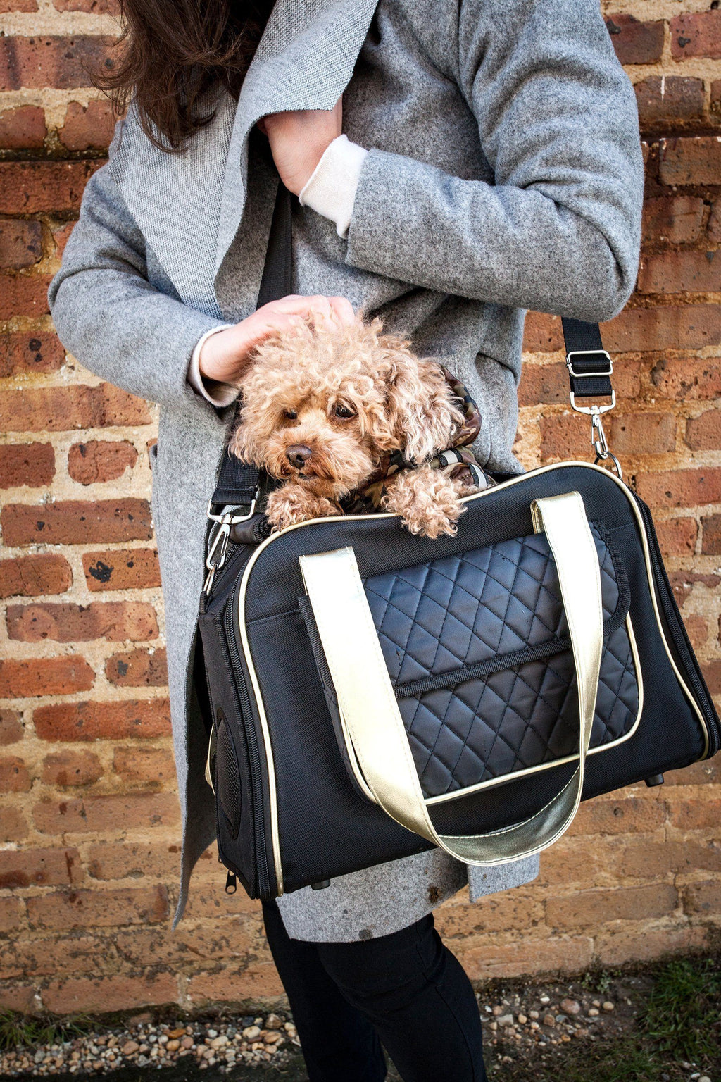 Airline Approved Mystique Pet Carrier Travel Bag - Dog - (Khaki, Black) - (Designer) - (Fashionable)