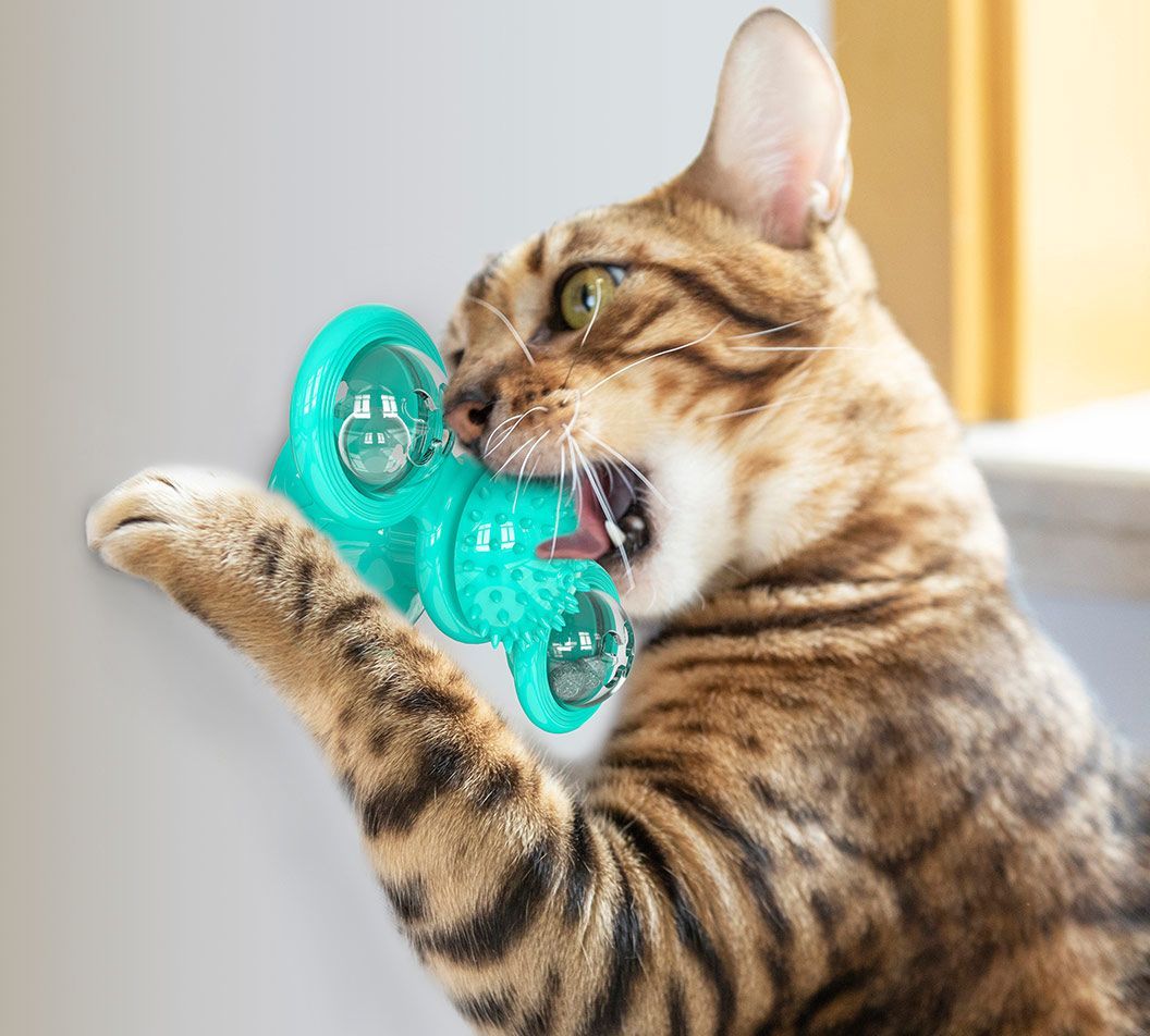 Pet Life ® 'Windmill' Rotating Suction Cup Spinning Toy - Cat - (3 Color Options) - (While Supplies Last)