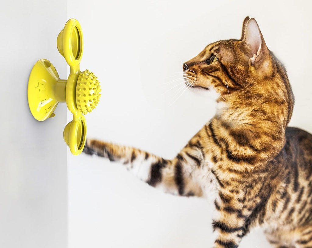 Pet Life ® 'Windmill' Rotating Suction Cup Spinning Toy - Cat - (3 Color Options) - (While Supplies Last)
