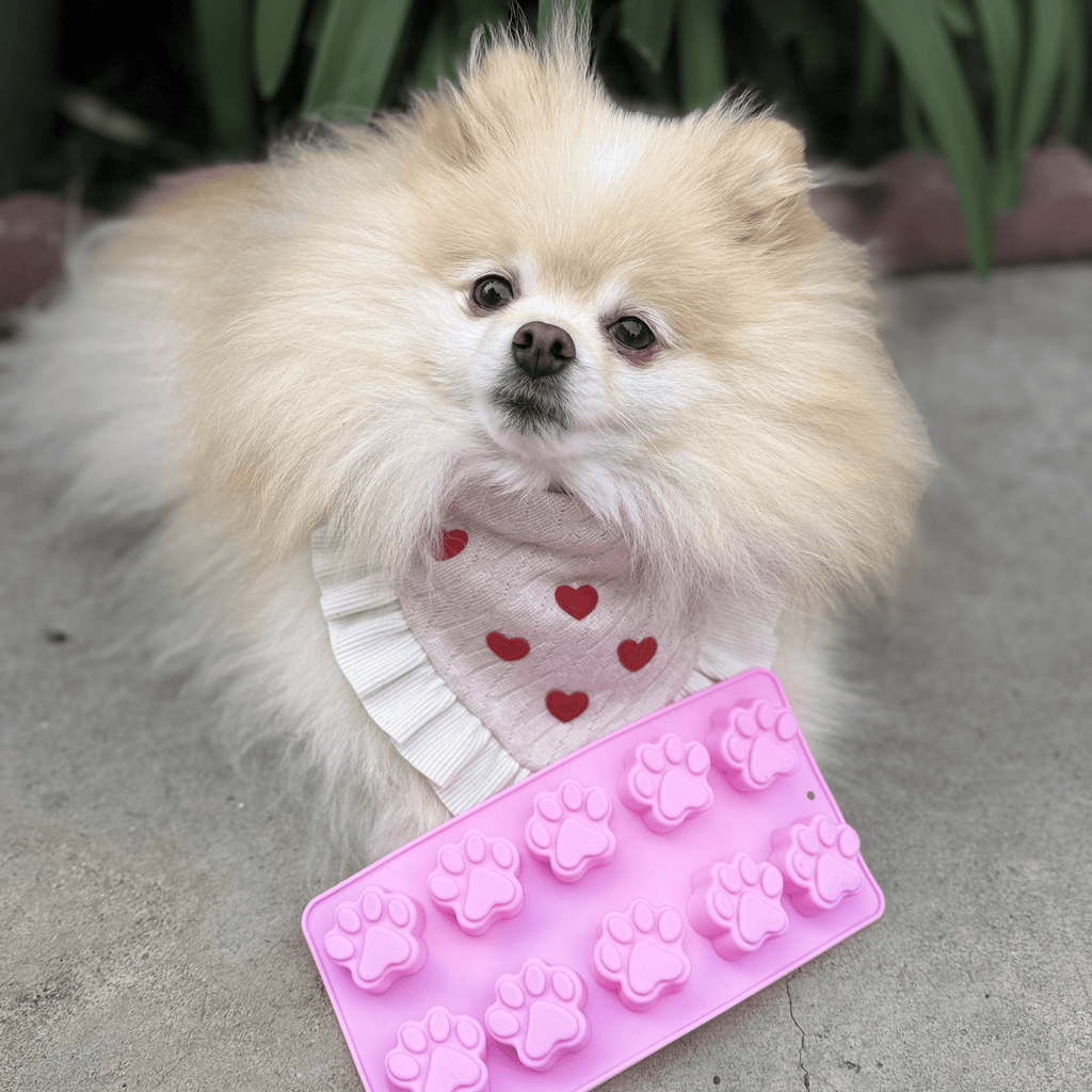 Pet Treat Molds - Dog - (4 Color/Style Options) - (While Supplies Last)