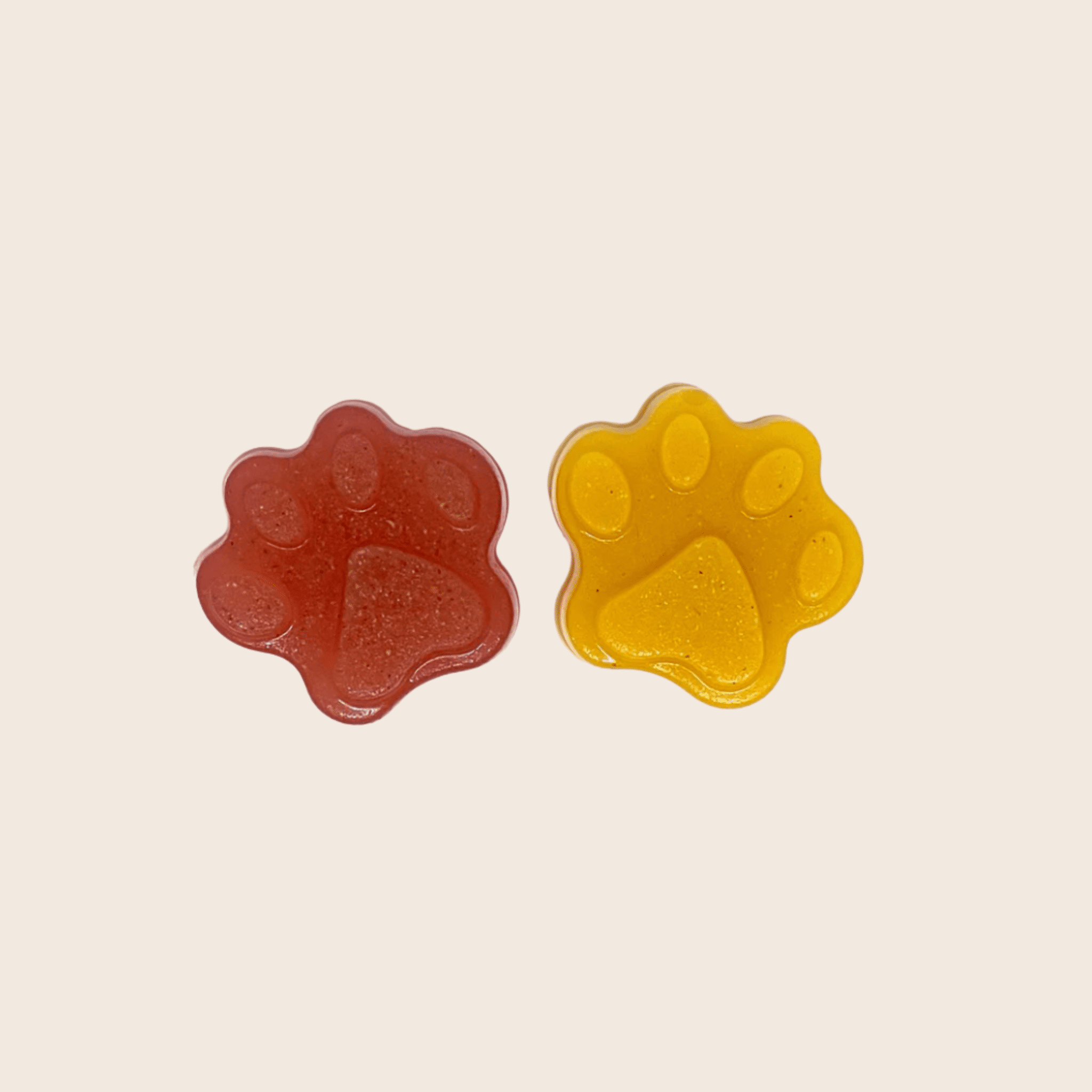 Pet Treat Molds - Dog - (4 Color/Style Options) - (While Supplies Last)