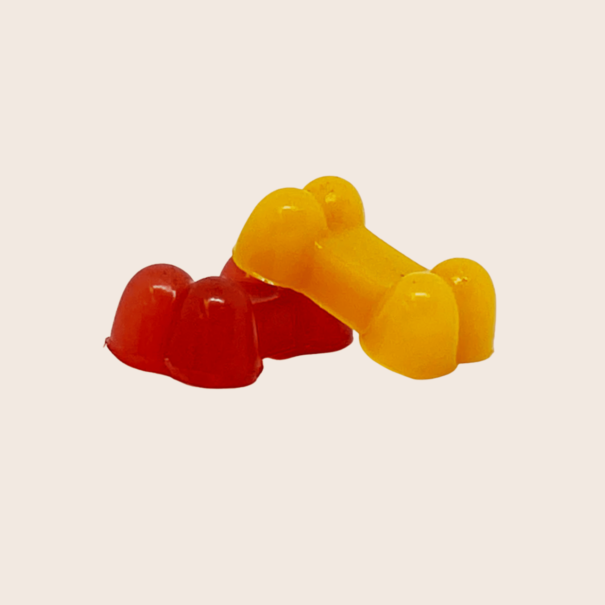 Pet Treat Molds - Dog - (4 Color/Style Options) - (While Supplies Last)