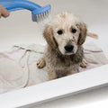 Pet Washer: Bathe and Groom Indoor/Outdoor - Dog Cat -  Easy to Use  - (Blue, Black) - (While Supplies Last)