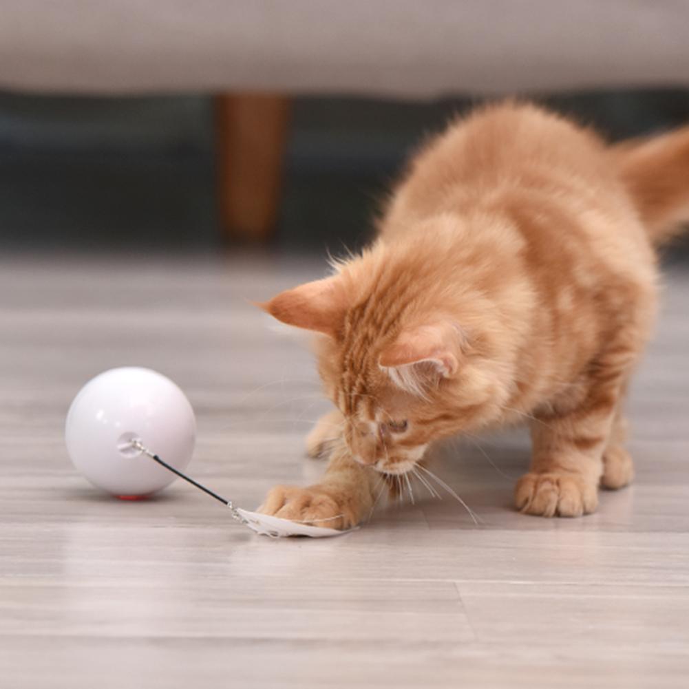 Interactive Colorful Smart Toy Ball - Cat - (4 Color Options) - (While Supplies Last)