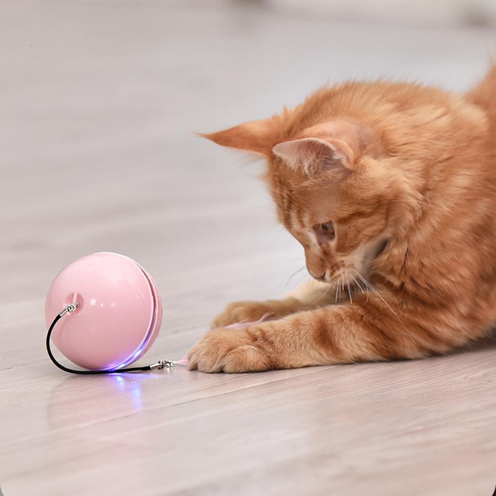 Interactive Colorful Smart Toy Ball - Cat - (4 Color Options) - (While Supplies Last)
