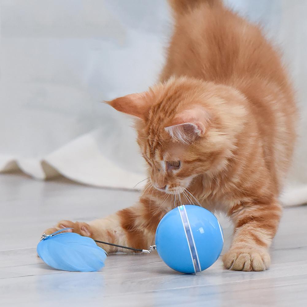 Interactive Colorful Smart Toy Ball - Cat - (4 Color Options) - (While Supplies Last)