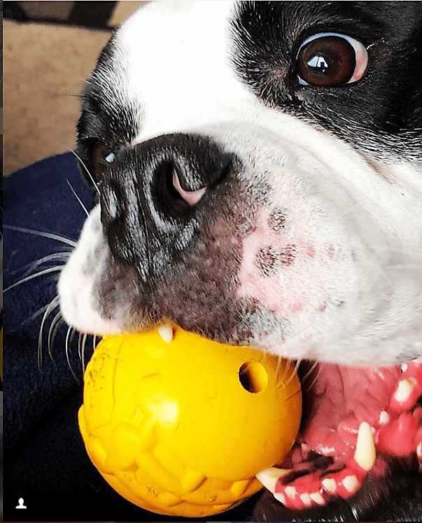 Industrial Ball Toy for Heavy Chewers - Dog  - (Yellow) -  (Rubber) - (SodaPup)