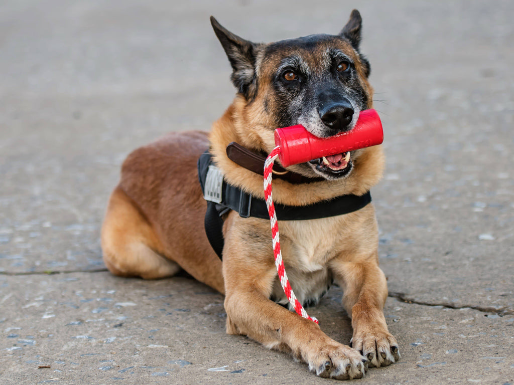 K9 Firecracker Floating Training Dummy Toy - Large Dog - (Reward Chew Toy) - (Rubber) - (Red) - (USA)