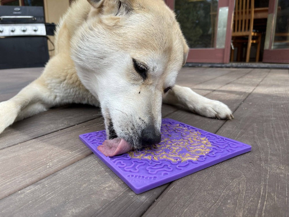 Anxious Dog: Try this Relief Enrichment Lick Mat (Bones) (Purple & Red)