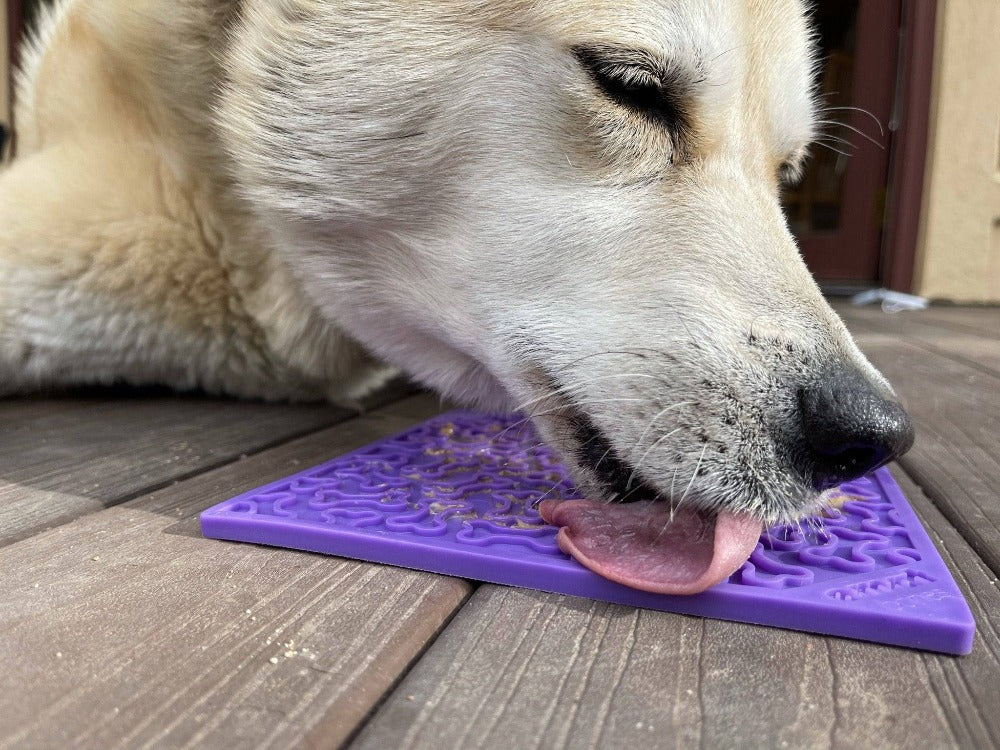 Anxious Dog: Try this Relief Enrichment Lick Mat (Bones) (Purple & Red)